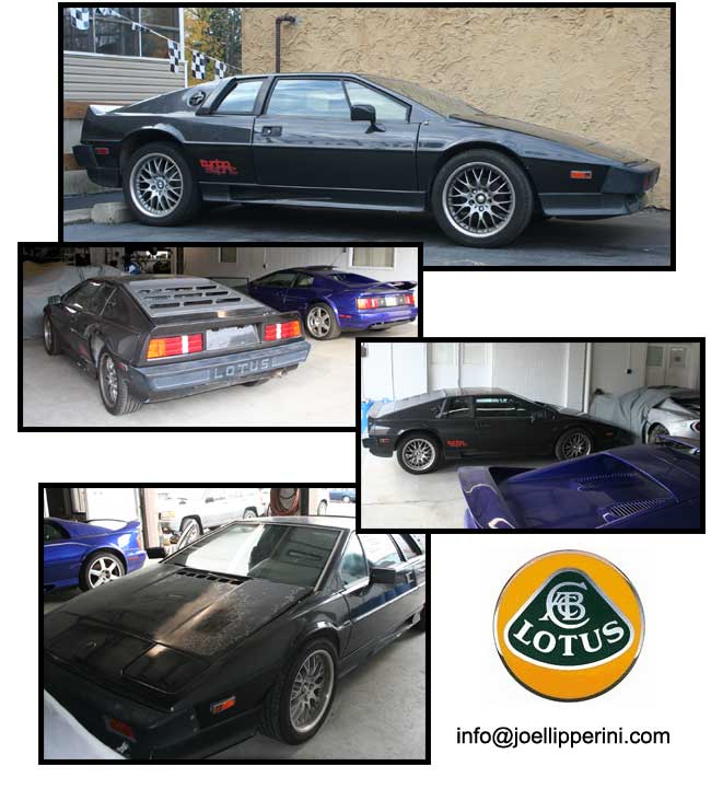 1985 Lotus Esprit Turbo Ebay Item number 190264508741